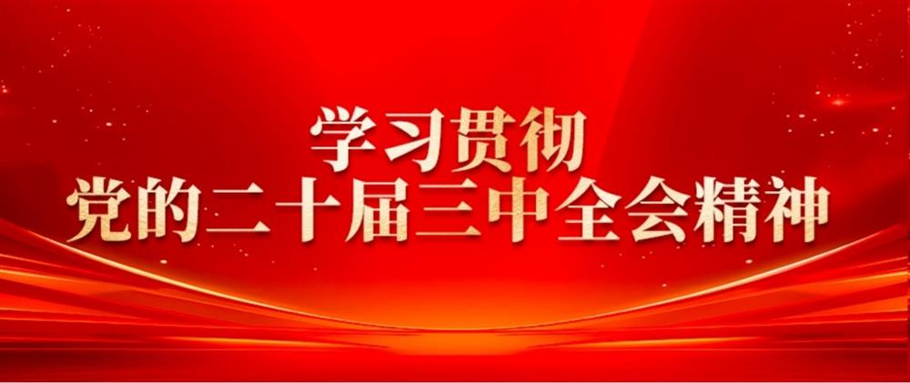 进修贯彻党的二十届三中全会精力② 产发园区团体董事长刘孝萌：抓好“建、招、储、运”,扶植高品质财产园区